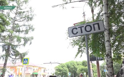 Светофор зарос на перекрёстке Ленина и Маршала Жукова