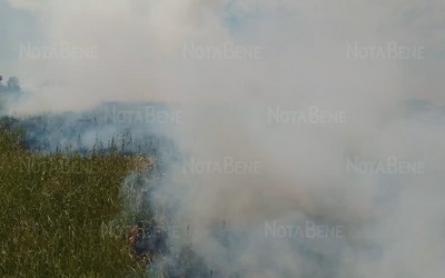 Около Зеленого горя поля. Дым видно с трассы и даже из Черногорска