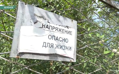 В Зеленом люди переживают из-за заросшей трансформаторной будки на Заречной, 11