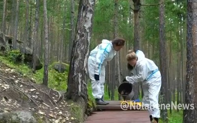 В Каменном лесу волонтеры благоустраивают территорию
