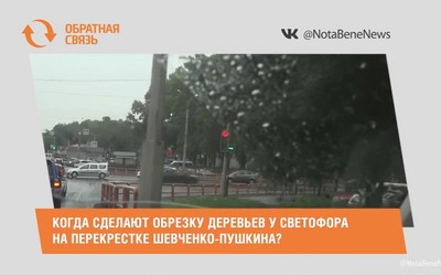 Когда сделают обрезку деревьев у светофора на перекрёстке Шевченко-Пушкина в Абакане? 