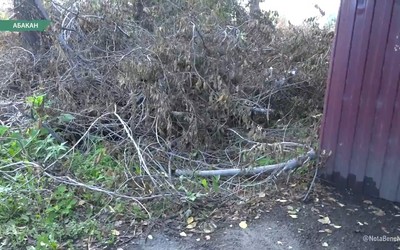 Жильцы дома по Чертыгашева, 232, пожаловались на кучу спиленных веток