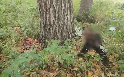 Еще двух медведей отстрелили в Абазе