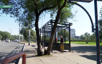 Отстаёт от графика подрядчик, который ставит новые остановки на ул. Пушкина в Абакане