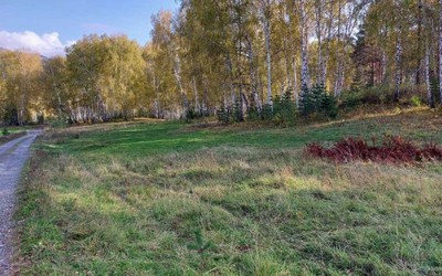 У Майна оборудуют лыжную трассу