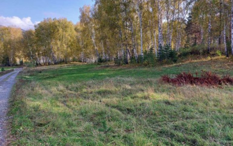 У Майна оборудуют лыжную трассу