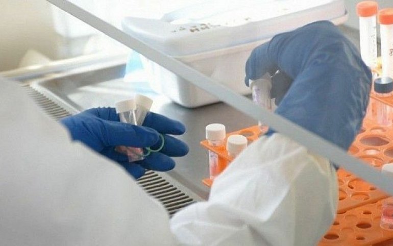 337 человек в Хакасии заболели коронавирусом за выходные