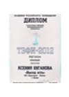 Диплом финалиста Всероссийского телевизионного конкурса «ТЭФИ-Регион 2012»