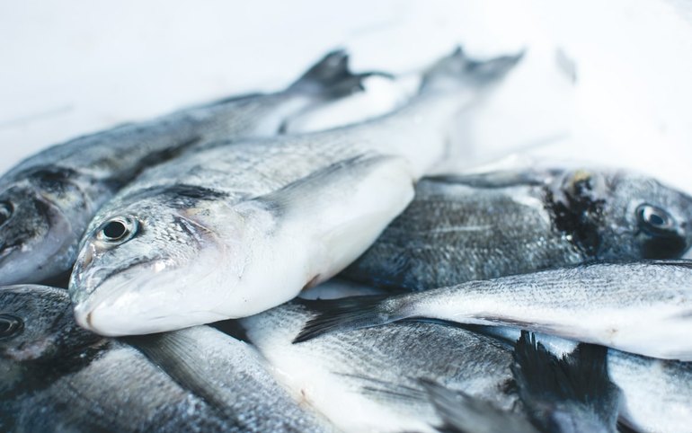 Масло, мука и рыба в топе подешевевших продуктов в Хакасии