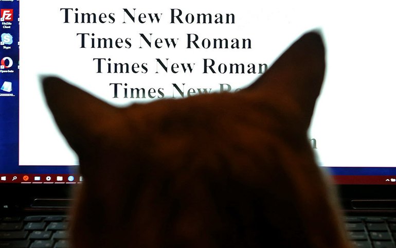 Times New Roman: популярные шрифты заблокировали для россиян 