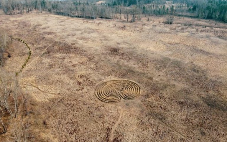 В Красноярске обнаружили странные круги на полях