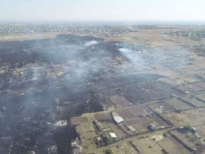 В пожаре в дачном обществе Залив погибли свиньи и ягнята