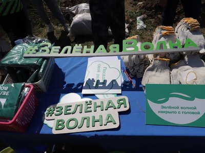 РУСАЛ подвёл итоги экологической акции Зелёная волна