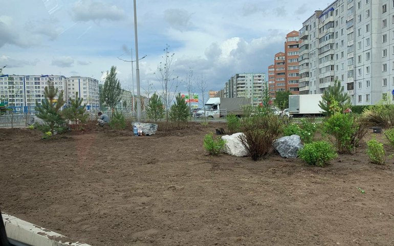 В Абакане озеленяют улицу Кирова