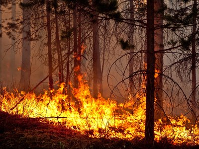 Из-за грозы в Хакасии тушат два лесных пожара 