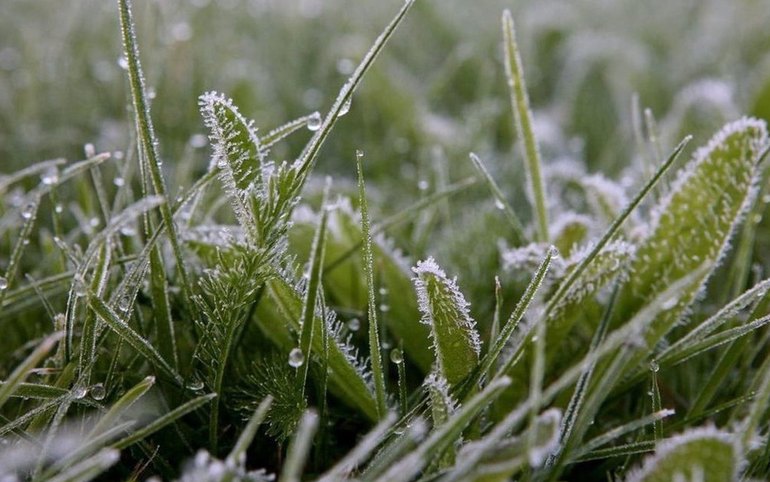 В Хакасию идут заморозки | Медиагруппа "Юг Сибири"