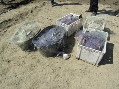 Браконьеры выловили на Красноярском водохранилище 730 рыб 