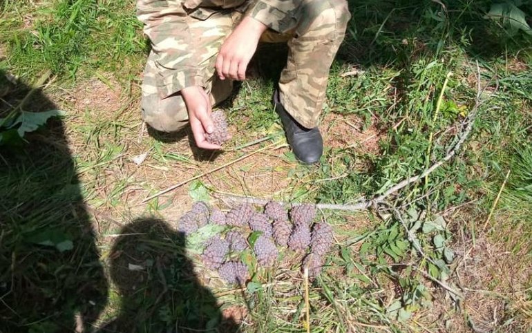 Лесные инспекторы поймали почти три десятка браконьеров