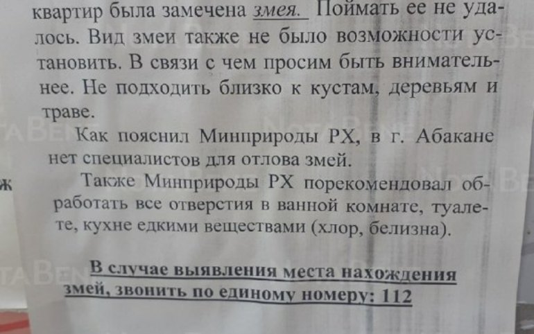 Абаканка обнаружила в унитазе змею. Всё произошло на Согринской 