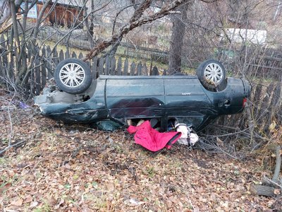 В Абазе автоледи сбила лошадь 