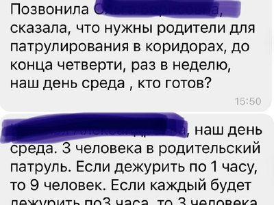 В лицее им. Булакина родителей просят патрулировать здание