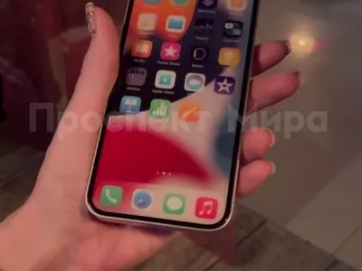 Норильчанке продали муляж Iphone 14 