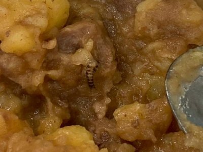 Картошкой с насекомыми пытались накормить саяногорских школьников 