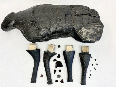 Северных оленей из хакасского музея восстанавливают в Москве 