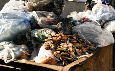 Аэросити просит о мусорных площадках, а в столице не вывозят пластик 