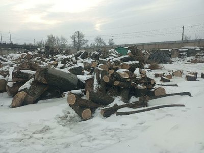 Порубочные остатки бесплатно раздают в парковом хозяйстве 