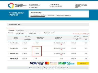 Абаканцы и черногорцы в шоке от сумм за отопление 