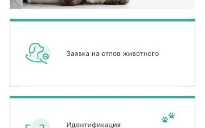 Заявки на отлов собак можно подать через приложение