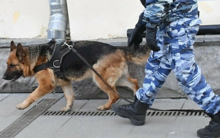 Школам Абакана и Черногорска снова угрожают. Второй день подряд 