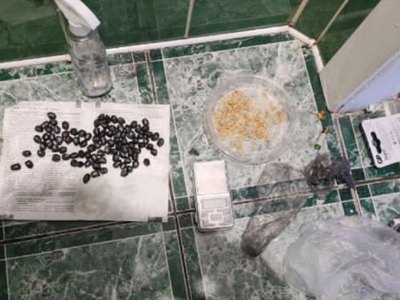 Копил на дом и свадьбу: мигрант распространял в Хакасии наркотики  