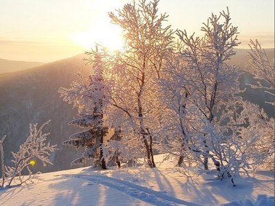 Снова -30º: потепления в выходные не ждем 