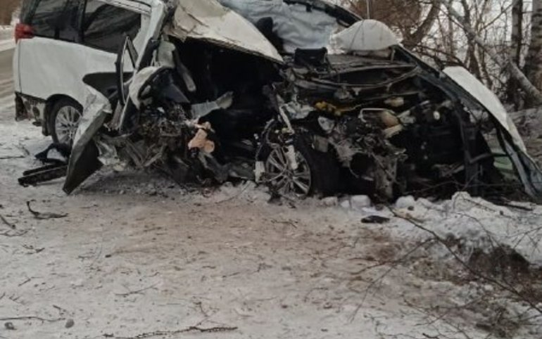 Врезалась в дерево: в Хакасии насмерть разбилась автоледи 