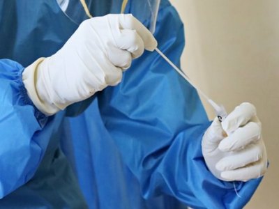 Второй случай кракена выявили в России. Заболел житель Тувы 
