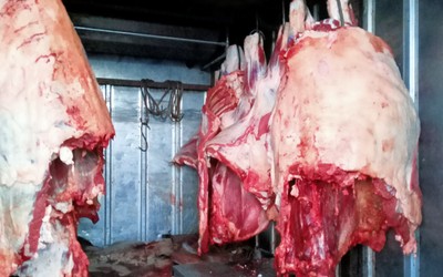 На Чыл Пазы пытались провезти сомнительное мясо 