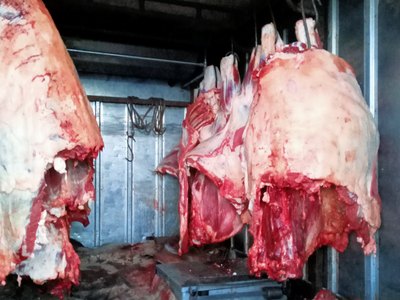 На Чыл Пазы пытались провезти сомнительное мясо 