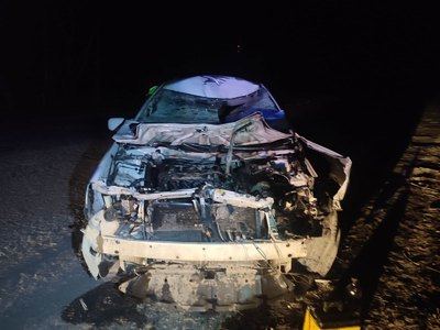 В Аскизском районе водитель сбил жеребенка и попал в больницу 