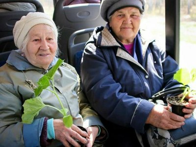 В Абакане дачные маршруты запустят с 22 апреля 