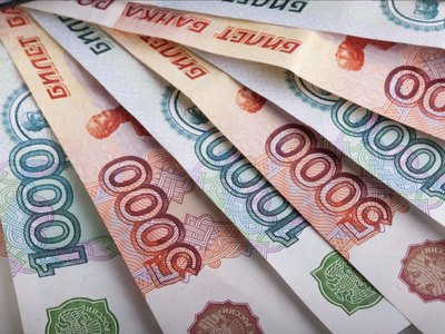 Владельцы свиней в Малой Минусе получат компенсацию через месяц 