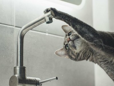 Горячую воду в Абакане отключат 15 мая