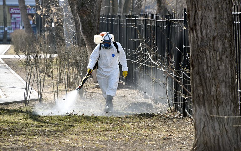 Парки Абакана начали обрабатывать от клещей