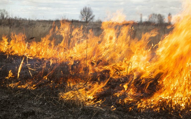 В Хакасии тушили крупные степные пожары 