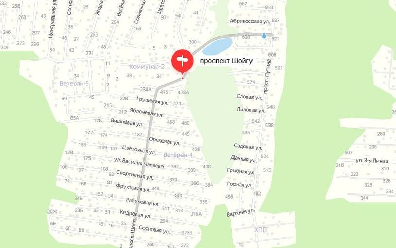 Под Красноярском появились проспекты Путина и Шойгу 
