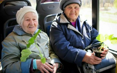Домой не уехать: абаканские дачники жалуются на автобусы