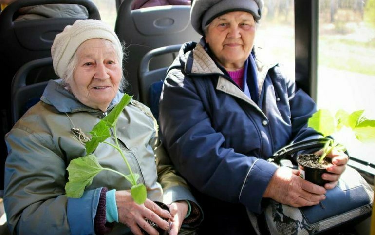 Домой не уехать: абаканские дачники жалуются на автобусы