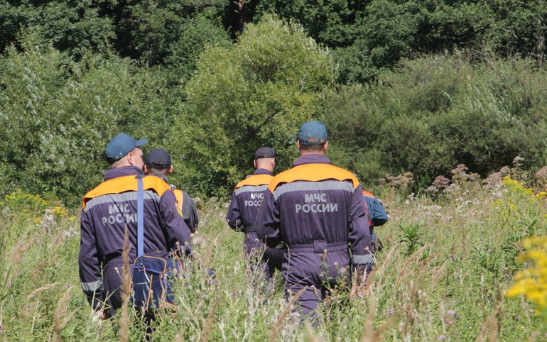 В Хакасии третий день ищут женщину. Она пропала в лесу  