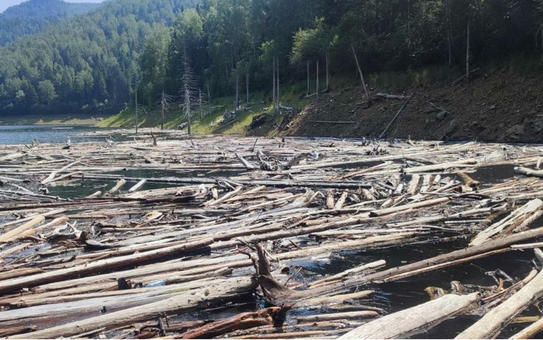 Почти 8 тысяч кубометров древесного хлама изымут из водохранилища
